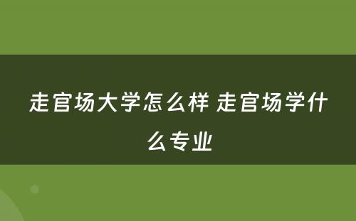 走官场大学怎么样 走官场学什么专业