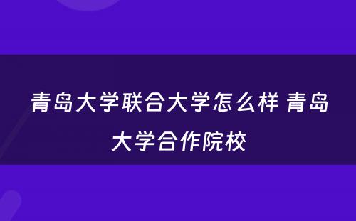 青岛大学联合大学怎么样 青岛大学合作院校