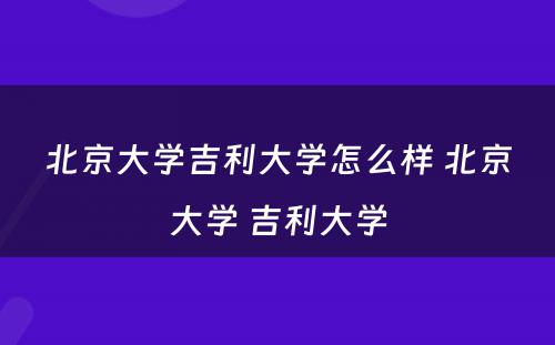 北京大学吉利大学怎么样 北京大学 吉利大学