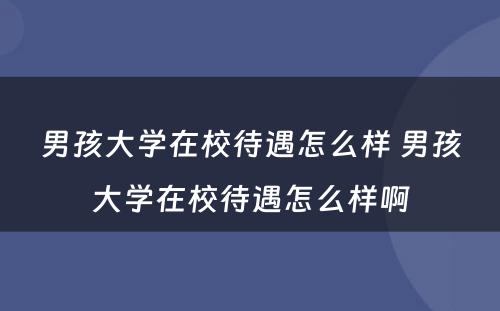 男孩大学在校待遇怎么样 男孩大学在校待遇怎么样啊