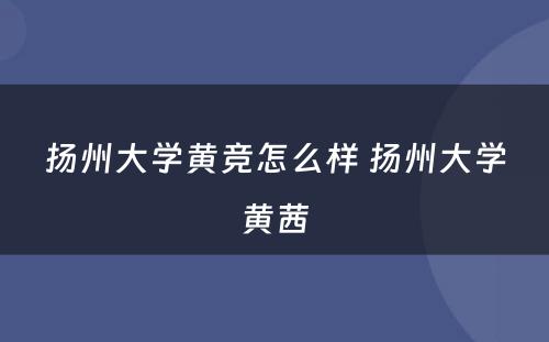 扬州大学黄竞怎么样 扬州大学黄茜