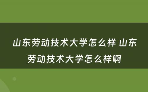 山东劳动技术大学怎么样 山东劳动技术大学怎么样啊