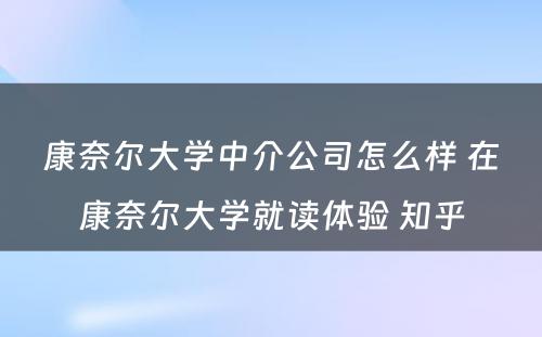 康奈尔大学中介公司怎么样 在康奈尔大学就读体验 知乎