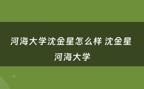 河海大学沈金星怎么样 沈金星 河海大学