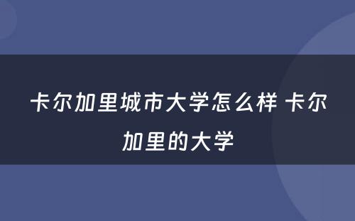 卡尔加里城市大学怎么样 卡尔加里的大学