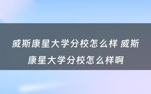 威斯康星大学分校怎么样 威斯康星大学分校怎么样啊