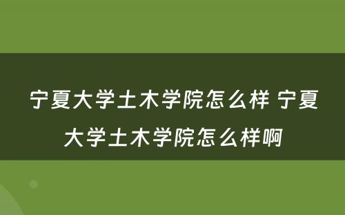 宁夏大学土木学院怎么样 宁夏大学土木学院怎么样啊