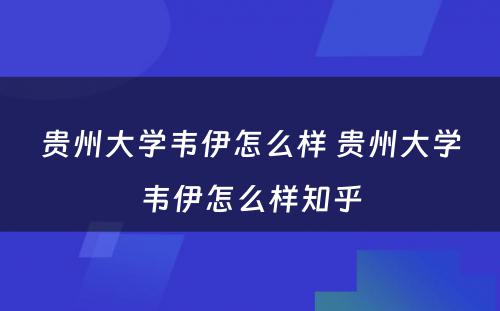 贵州大学韦伊怎么样 贵州大学韦伊怎么样知乎