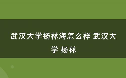 武汉大学杨林海怎么样 武汉大学 杨林