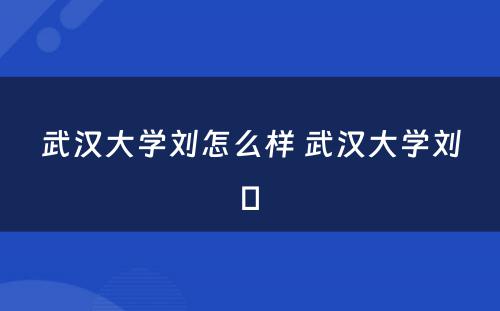 武汉大学刘怎么样 武汉大学刘骕