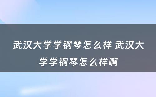 武汉大学学钢琴怎么样 武汉大学学钢琴怎么样啊