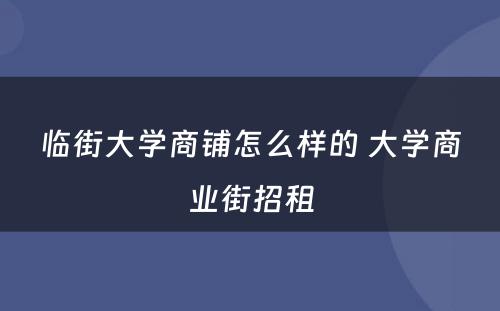 临街大学商铺怎么样的 大学商业街招租