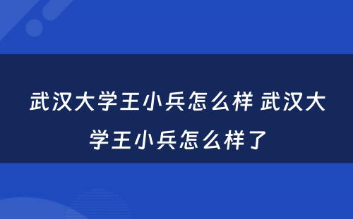 武汉大学王小兵怎么样 武汉大学王小兵怎么样了