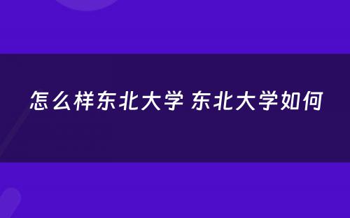 怎么样东北大学 东北大学如何
