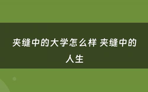 夹缝中的大学怎么样 夹缝中的人生