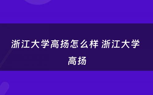 浙江大学高扬怎么样 浙江大学 高扬