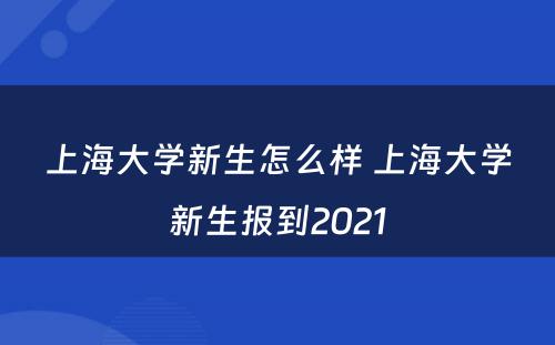 上海大学新生怎么样 上海大学新生报到2021