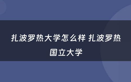 扎波罗热大学怎么样 扎波罗热国立大学