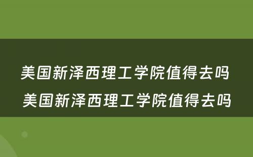 美国新泽西理工学院值得去吗 美国新泽西理工学院值得去吗