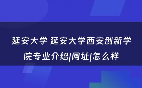 延安大学 延安大学西安创新学院专业介绍|网址|怎么样