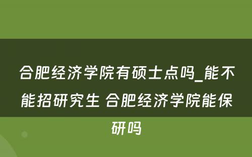 合肥经济学院有硕士点吗_能不能招研究生 合肥经济学院能保研吗