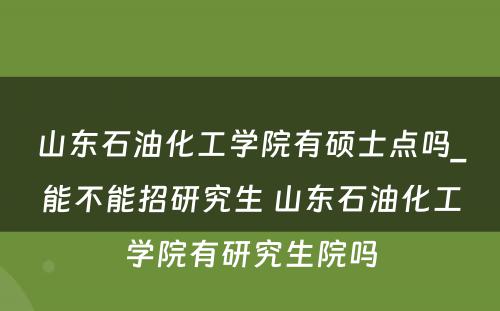 山东石油化工学院有硕士点吗_能不能招研究生 山东石油化工学院有研究生院吗