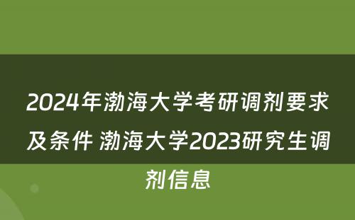 2024年渤海大学考研调剂要求及条件 渤海大学2023研究生调剂信息