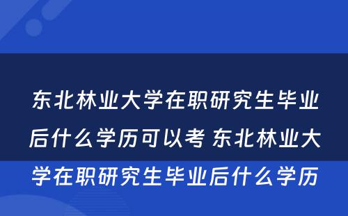 东北林业大学在职研究生毕业后什么学历可以考 东北林业大学在职研究生毕业后什么学历