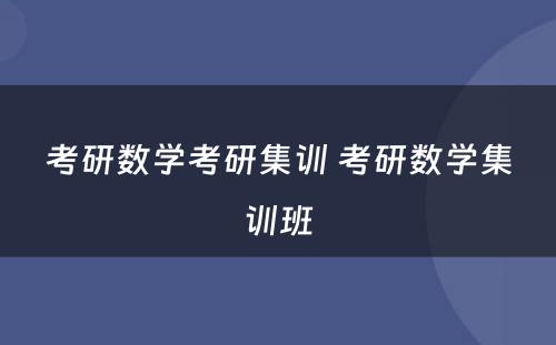 考研数学考研集训 考研数学集训班