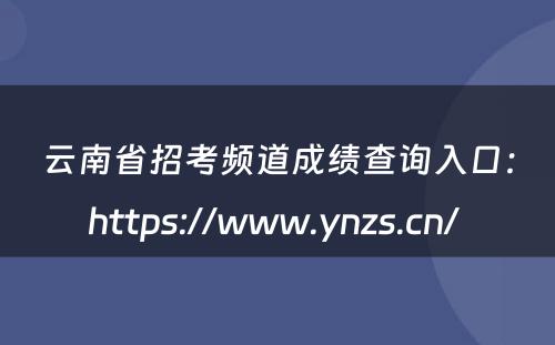 云南省招考频道成绩查询入口：https://www.ynzs.cn/ 