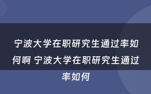 宁波大学在职研究生通过率如何啊 宁波大学在职研究生通过率如何