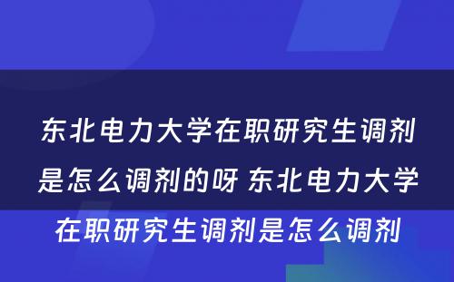 东北电力大学在职研究生调剂是怎么调剂的呀 东北电力大学在职研究生调剂是怎么调剂