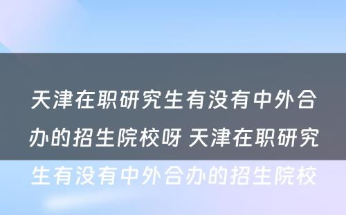 天津在职研究生有没有中外合办的招生院校呀 天津在职研究生有没有中外合办的招生院校