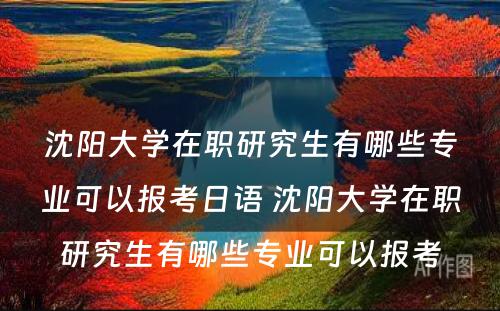 沈阳大学在职研究生有哪些专业可以报考日语 沈阳大学在职研究生有哪些专业可以报考