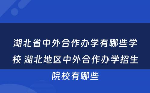 湖北省中外合作办学有哪些学校 湖北地区中外合作办学招生院校有哪些