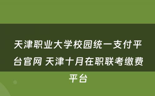 天津职业大学校园统一支付平台官网 天津十月在职联考缴费平台