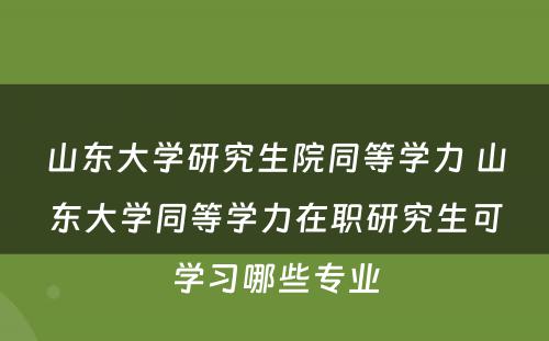 山东大学研究生院同等学力 山东大学同等学力在职研究生可学习哪些专业