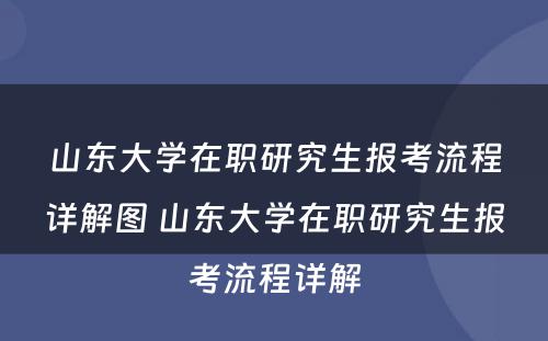 山东大学在职研究生报考流程详解图 山东大学在职研究生报考流程详解