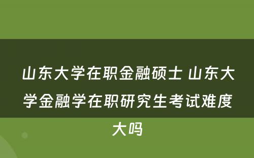 山东大学在职金融硕士 山东大学金融学在职研究生考试难度大吗