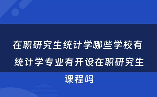 在职研究生统计学哪些学校有 统计学专业有开设在职研究生课程吗