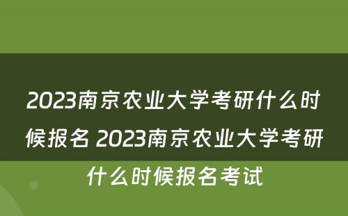 2023南京农业大学考研什么时候报名 2023南京农业大学考研什么时候报名考试