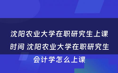 沈阳农业大学在职研究生上课时间 沈阳农业大学在职研究生会计学怎么上课