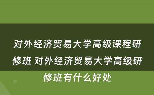 对外经济贸易大学高级课程研修班 对外经济贸易大学高级研修班有什么好处