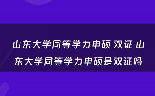 山东大学同等学力申硕 双证 山东大学同等学力申硕是双证吗