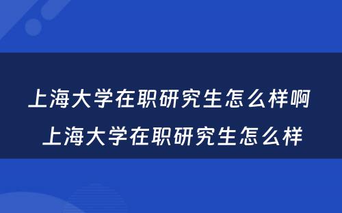 上海大学在职研究生怎么样啊 上海大学在职研究生怎么样