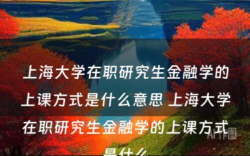 上海大学在职研究生金融学的上课方式是什么意思 上海大学在职研究生金融学的上课方式是什么