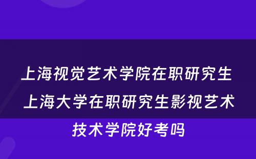 上海视觉艺术学院在职研究生 上海大学在职研究生影视艺术技术学院好考吗