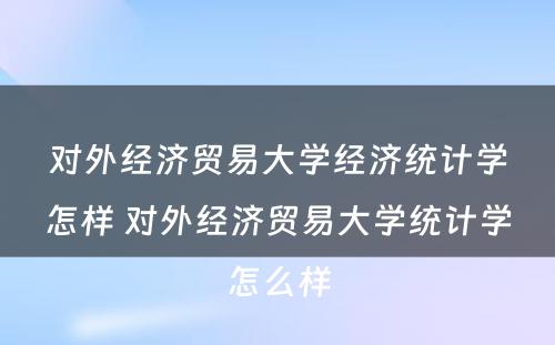 对外经济贸易大学经济统计学怎样 对外经济贸易大学统计学怎么样