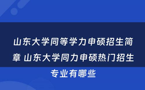 山东大学同等学力申硕招生简章 山东大学同力申硕热门招生专业有哪些