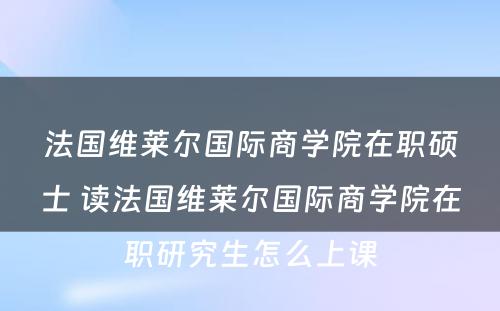 法国维莱尔国际商学院在职硕士 读法国维莱尔国际商学院在职研究生怎么上课